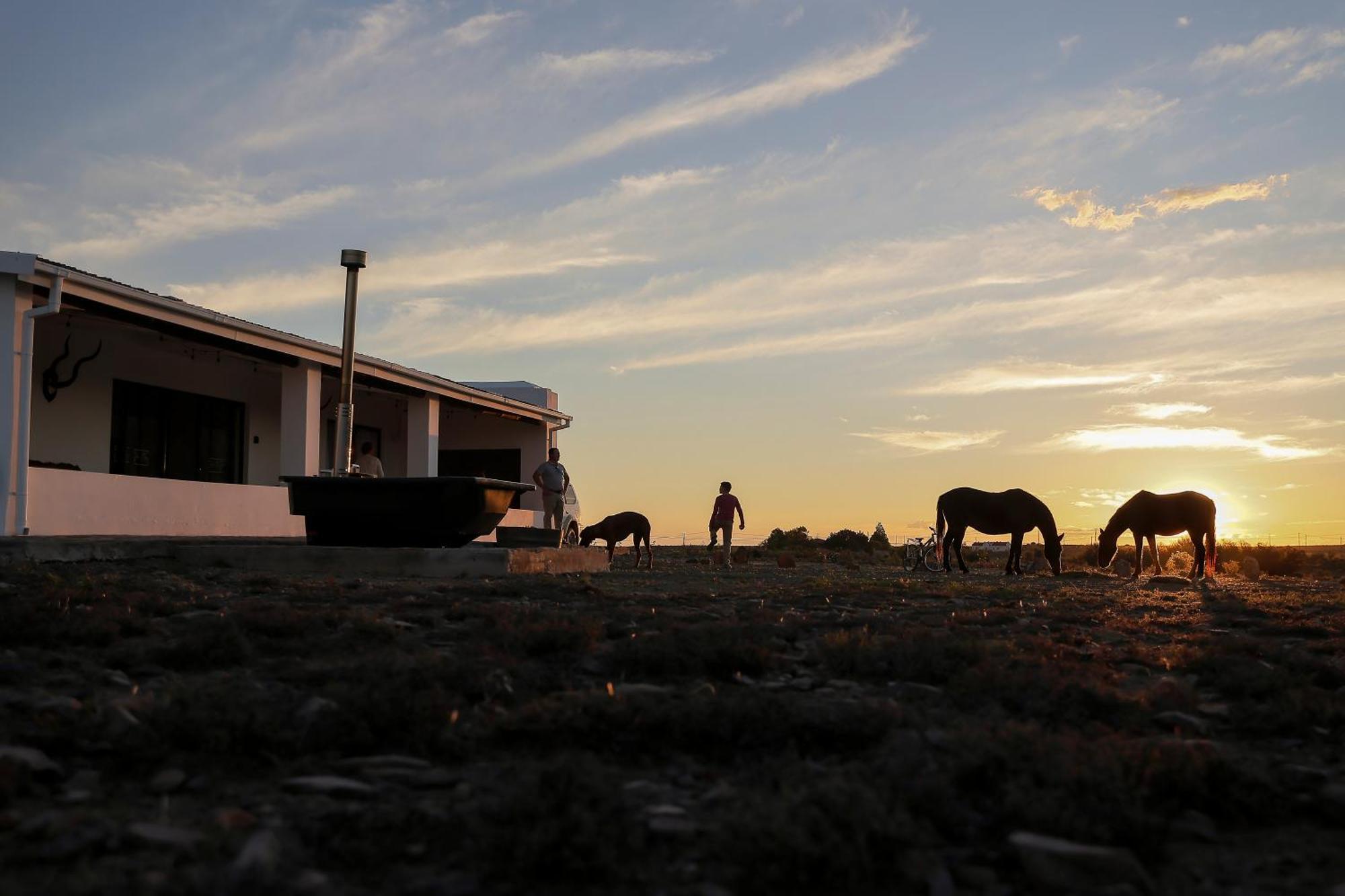 Traka Cottage Prince Albert Luaran gambar